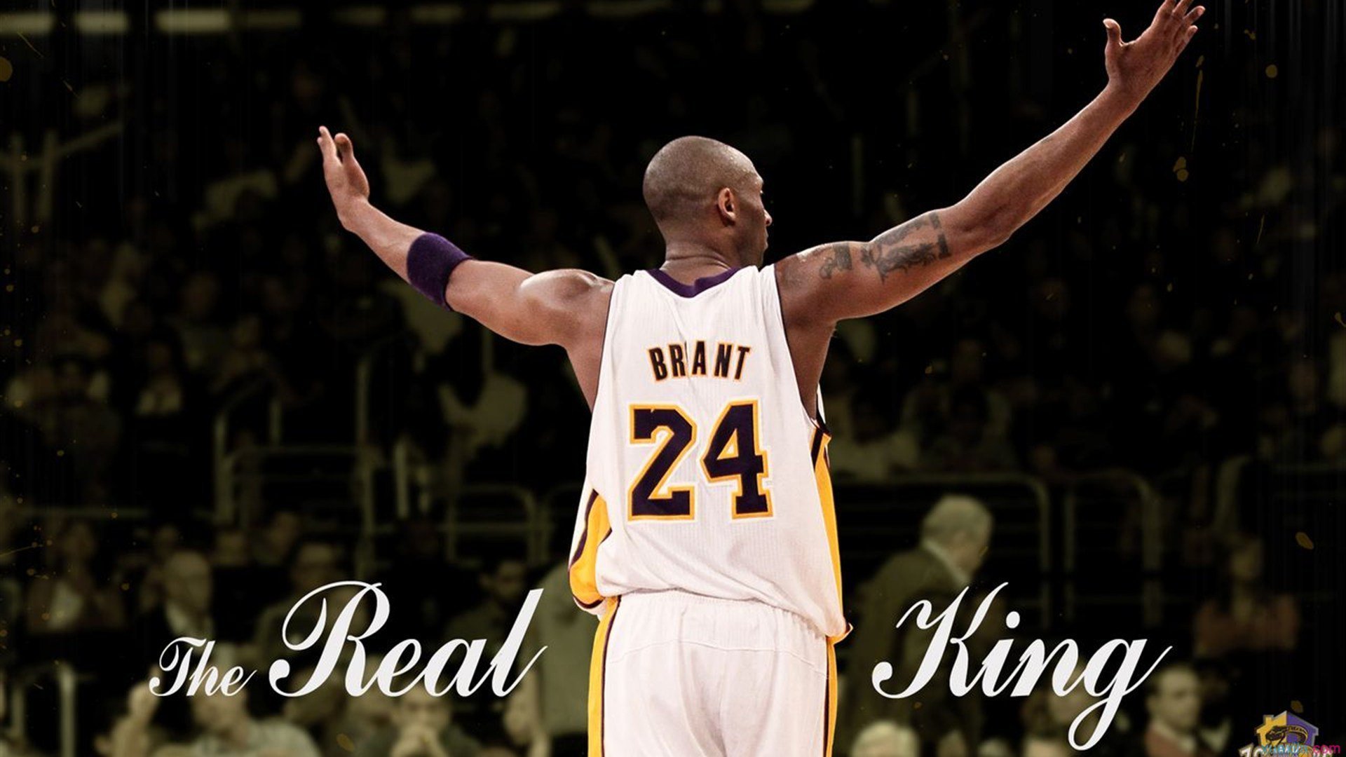 _雄鹿字母哥三双再现，带领球队获胜_，nba雄鹿字母哥简历